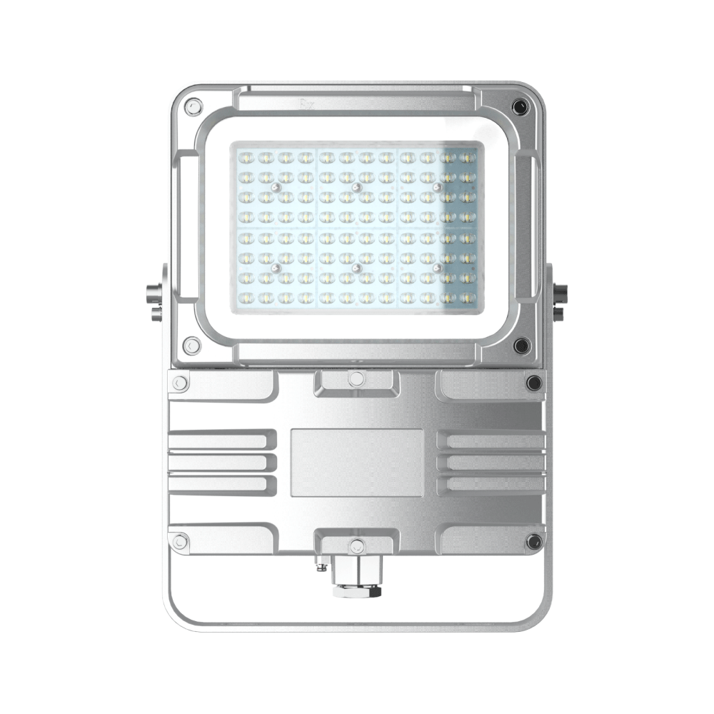 GCD9193/LED防爆投光燈/60-80W（小款）